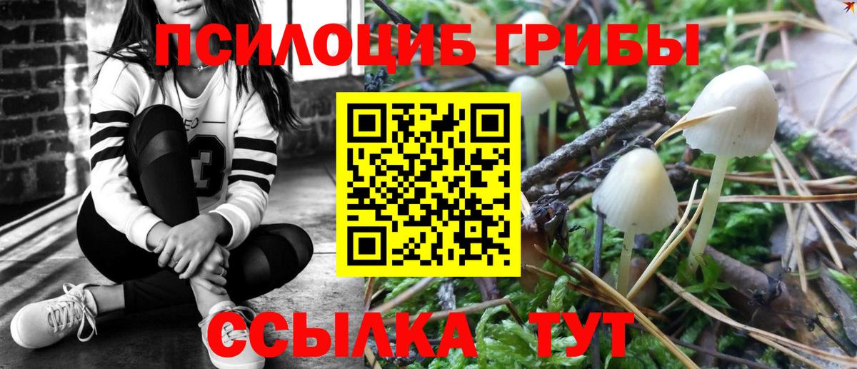 Псилоцибиновые грибы мицелий  Псилоцибиновые грибы MAGIC MUSHROOMS  Вход с VPN  Феодосия 
