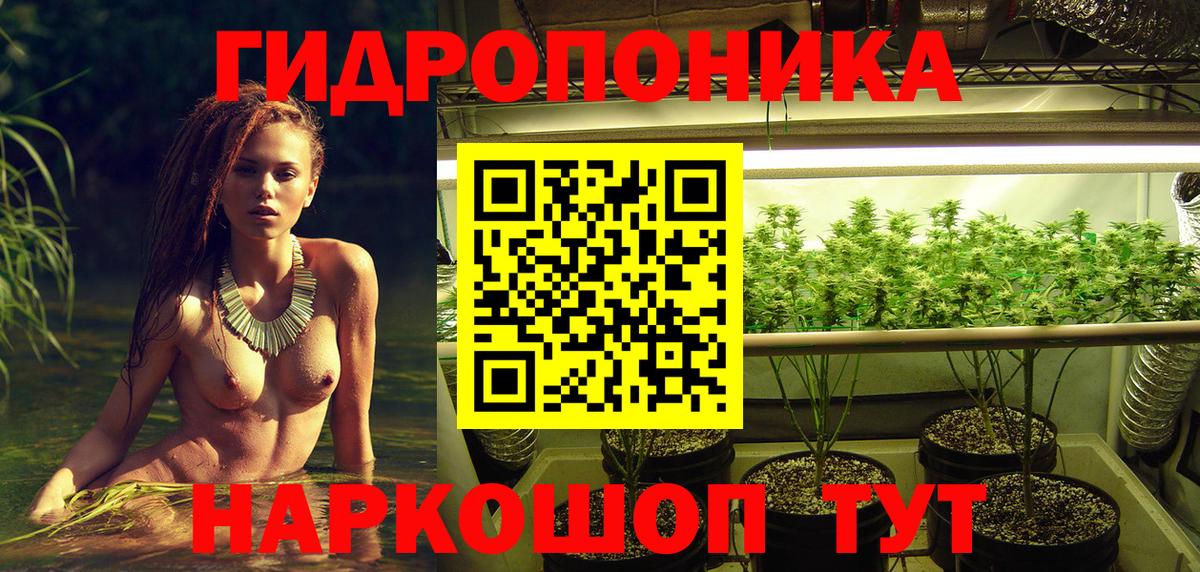 Конопля AK-47  МАРИХУАНА тримм  Феодосия  Вход с VPN  МАРИХУАНА план 